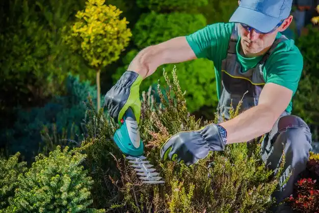 landscaping services East Prairie